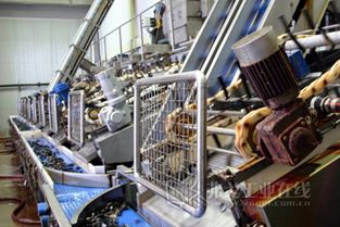 智慧海產(chǎn) 計(jì)算機(jī)系統(tǒng)集成賦能耐腐蝕柔性驅(qū)動(dòng)系統(tǒng)，打造高效海鮮加工流水線